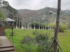 -厦门国家会计学院