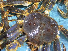 -渔民新村(番禺总店)