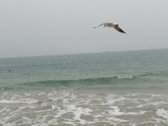 -海云台海滩