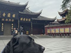 -峨眉山报国寺