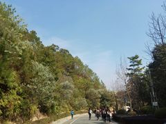 -广州市流溪河国家森林公园