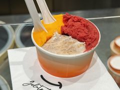 柿子Persimmons-Dip in Gelato(富民路店)