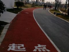 健身步道-上海长兴岛郊野公园