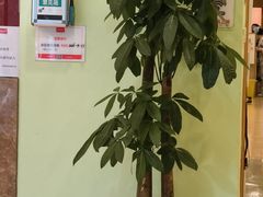 -爱康国宾体检中心(总部基地分院)