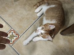 -周家大连水饺(美专校街店)