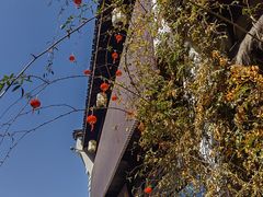 -鼓楼(西湖风景名胜区)