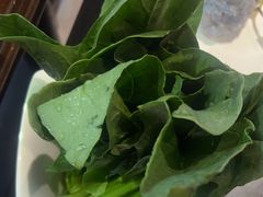 菠菜-渝利重庆火锅