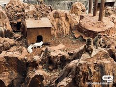 -昆明动物园
