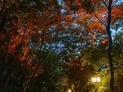 -龟山风景区-龟山电视塔