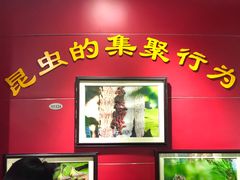 -上海昆虫博物馆