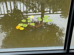 -江边湾柴火鸭