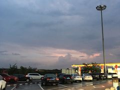 -濠轩阁特色生蚝火锅(水湾路店)