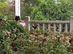 -仙岳公园