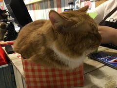 -小时光咖啡馆(开森度假森林店)