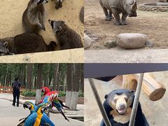 -北京野生动物园