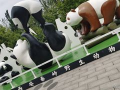-西安秦岭野生动物园