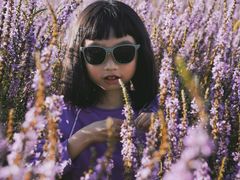 -五营红松林海景区