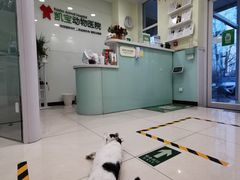 -悦宠凯宝动物医院·牙科·皮肤科(朝阳北路店)