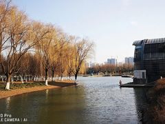 -白塘生态植物园