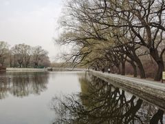 -北陵公园