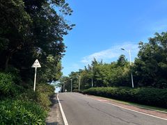 -火炉山森林公园