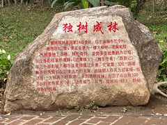 -独树成林