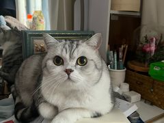 -和子足浴SPA会馆(梁溪店)