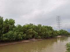 -崖口红树林海鲜餐厅