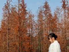 -白鹭湾湿地公园