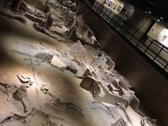 -洛阳周王城天子驾六博物馆