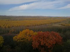 -塞罕坝国家级自然保护区