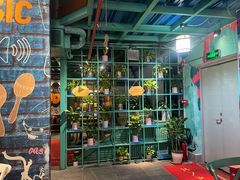 -浩源美食·椰子鸡