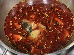 -味之绝热血美蛙鱼火锅(中坝店)