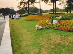 -二沙岛艺术公园