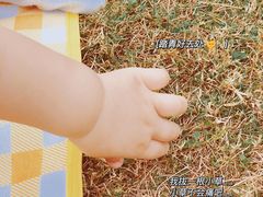 -深圳龙潭公园