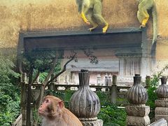 -黔灵山公园