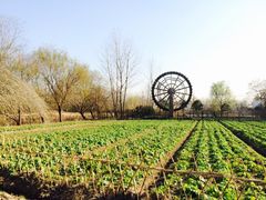 iphone_upload_pic-溱湖国家湿地公园