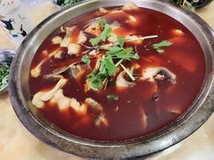 -重庆特色冷锅鱼(武大店)