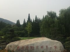 -习家池