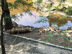 -大连森林动物园