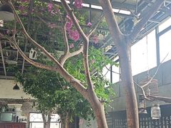 -又见炊烟私房菜(敬亭路店)