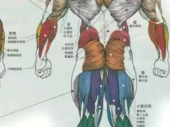 -美格菲健身中心(新都会店)