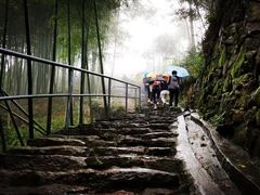 -四明山国家森林公园