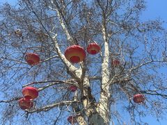 -回龙窝历史文化街区