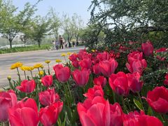 -石家庄市植物园