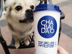 -茶百道(广都店)