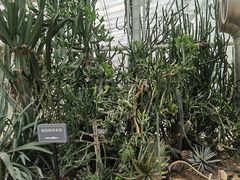 -北京植物园-展览温室