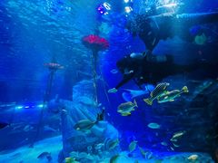 -沈阳海洋探索中心