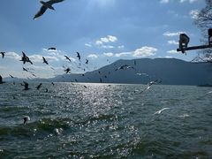 -滇池海埂公园