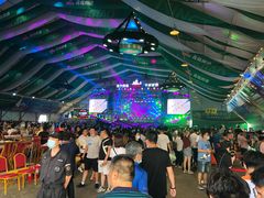 -第35届青岛国际啤酒节